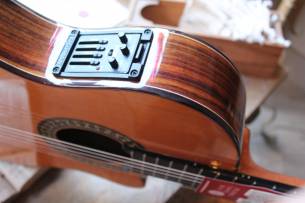 ALHAMBRA 5 P CT E2 , Gigbag 25 mm