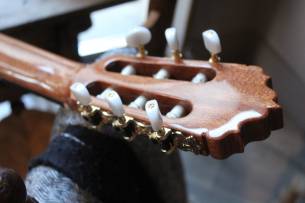 ALHAMBRA 5 P CT E2 , Gigbag 25 mm