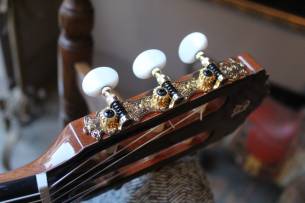 ALHAMBRA 5 P CT E2 , Gigbag 25 mm