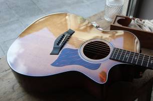 TAYLOR 50th Anniversary 314ce LTD, HARDCASE