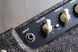 FENDER Limited Edition Blues Junior IV Western with Cannabis Rex Speaker
