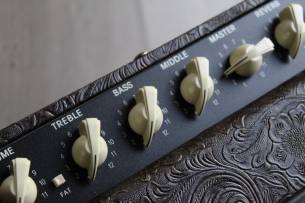 FENDER Limited Edition Blues Junior IV Western with Cannabis Rex Speaker