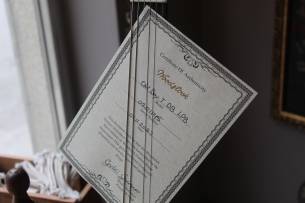 WOODSTOCK Old Boy T DB Lake Placid Blue, GIGBAG, 3, 53 KG