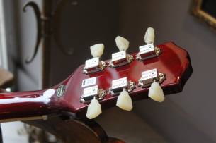 EPIPHONE ES-335 Figured Rasperry Tea Burst, 3, 63 KG