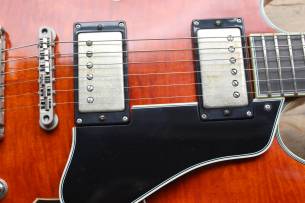 EASTMAN T59/v Antique Amber with Hardcase, 3, 56 KG