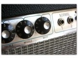 Fender Silverface Bassman 10" 1979