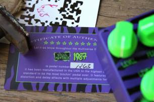 All-Pedal Steel Panther 1987