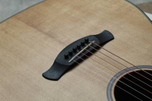 TAYLOR Builder's Edition 517e, HARDCASE