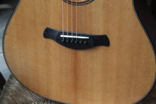 TAYLOR Builder's Edition 517e, HARDCASE