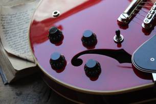 FGN 335 Cherry, MSA-HP/CH HARDCASE, 3, 03 KG