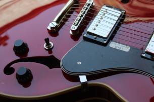 FGN 335 Cherry, MSA-HP/CH HARDCASE, 3, 03 KG