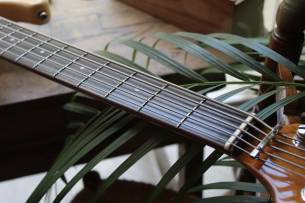 SIRE P5R Alder Five Strings Vintage White, 4, 57 KG
