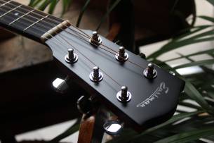 EASTMAN ACTG1 Classic, GIGBAG