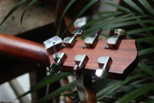 EASTMAN ACTG1 Classic, GIGBAG