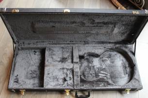 D´ANGELICO Deluxe Atlantic LE Sage (Discontinued), HARDCASE, PAPERS, 3, 84 KG