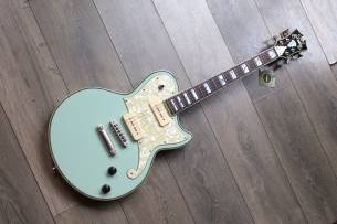 D´ANGELICO Deluxe Atlantic LE Sage (Discontinued), HARDCASE, PAPERS, 3, 84 KG