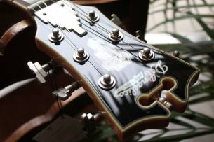 D´ANGELICO Deluxe Atlantic LE Sage (Discontinued), HARDCASE, PAPERS, 3, 84 KG