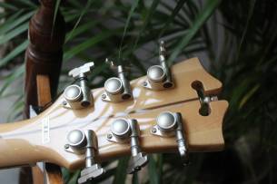 D´ANGELICO Deluxe Atlantic LE Sage (Discontinued), HARDCASE, PAPERS, 3, 84 KG