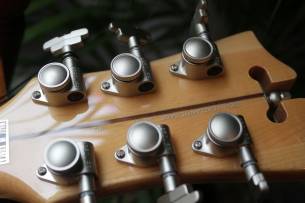 D´ANGELICO Deluxe Atlantic LE Sage (Discontinued), HARDCASE, PAPERS, 3, 84 KG