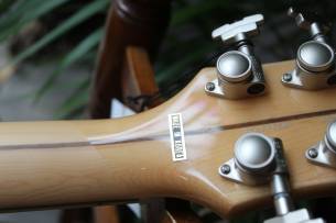 D´ANGELICO Deluxe Atlantic LE Sage (Discontinued), HARDCASE, PAPERS, 3, 84 KG