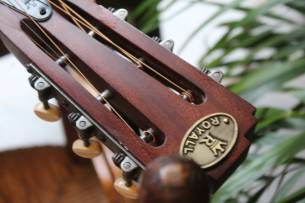 ROYALL Blues Hound Distressed Relic Brass Finish 14 Fret Single Cone Resonator With Pickup SOFTCASE,