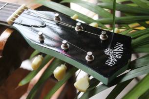 MAYBACH Lester JR Double Cut Special Edition for Estudiio 54 in Miami Green Color, HARDCASE, 2, 99 KG
