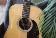 MARTIN D-28, HARDCASE