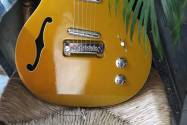 DANELECTRO Fifty Niner Azteca Gold, 2, 86 KG