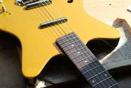 DANELECTRO Fifty Niner Azteca Gold, 2, 86 KG