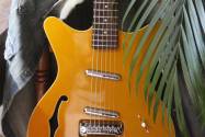 DANELECTRO Fifty Niner Azteca Gold, 2, 86 KG