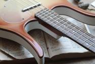 DANELECTRO Longhorn Bass, Coopper, 2, 71 KG