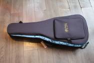 MARTIN 000-15 M, with Martin Gigbag