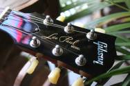 GIBSON Les Paul Standard 50s, Gold Top, HARDCASE, 4, 18 KG