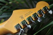 FENDER Limited Edition American Professional II Stratocaster, Rosewood Fingerboard, Shell Pink