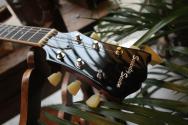 SEVENTY SEVEN "EXRU-STD /S JT 335 Japan P-90 Aged Red " by Bacchus Guitars