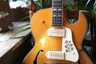 STANFORD "Fatboy Golden 95" HARDCASE, 3, 11 KG, Scotty Moore is Alive!