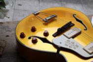 STANFORD "Fatboy Golden 95" HARDCASE, 3, 11 KG, Scotty Moore is Alive!