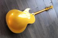 STANFORD "Fatboy Golden 95" HARDCASE, 3, 11 KG, Scotty Moore is Alive!