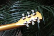 STANFORD "Fatboy Golden 95" HARDCASE, 3, 11 KG, Scotty Moore is Alive!