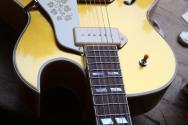 STANFORD "Fatboy Golden 95" HARDCASE, 3, 11 KG, Scotty Moore is Alive!