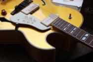 STANFORD "Fatboy Golden 95" HARDCASE, 3, 11 KG, Scotty Moore is Alive!