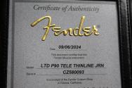 FENDER Custom Shop Limited P90 Tele Thinline Journeyman Relic Aged Magenta Sparkle, HARDCASE, 3, 23