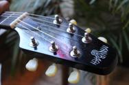 MAYBACH Limited Flyin Jetwing Black Velvet, HARDCASE, 2, 8 KG
