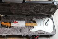 FENDER American Ultra II Stratocaster, Maple Fingerboard, Avalanche, HARDCASE