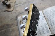 TOKAI ULSS58 SYW See-Through Yellow, 3, 12 KG