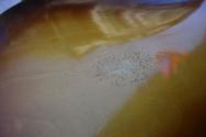EASTMAN "T64/v-T-GB Thinline Hollow Body HSC Gold Burst" HARDCASE,, 2, 4 KG