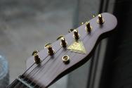 LUNG GUITARS "Custom Series Bronze Metalic" HARDCASE, PAPERS, 3, 41 KG