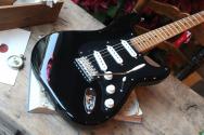 FENDER Limited Edition Vintera II 50 Stratocaster Roasted Maple Neck Black Pickguard with Custom Shop Fat 60, GIGBAG, 3, 59 KG