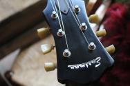 EASTMAN LIMITED EDITION T60/TV Sunburst, HARDCASE, PAPERS, 3, 57 KG
