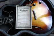 EASTMAN LIMITED EDITION T60/TV Sunburst, HARDCASE, PAPERS, 3, 57 KG